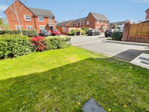 Front garden- click for photo gallery